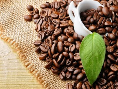 Cây cà phê bắt nguồn từ đâu?